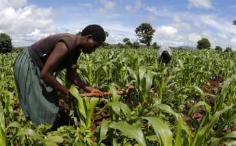 Agri-tech is transforming Africa’s agricultural industry
